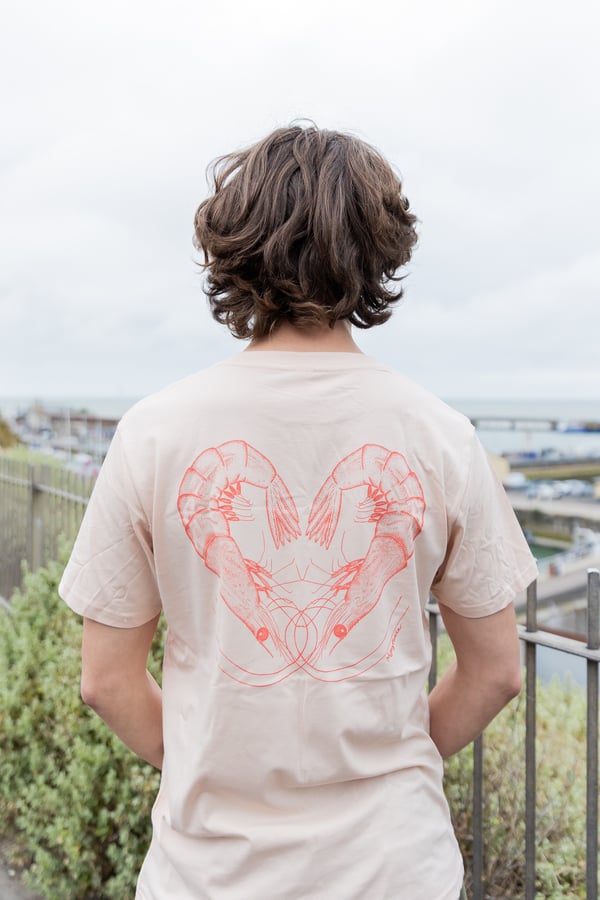 Image of Shrimp T-shirt Adults