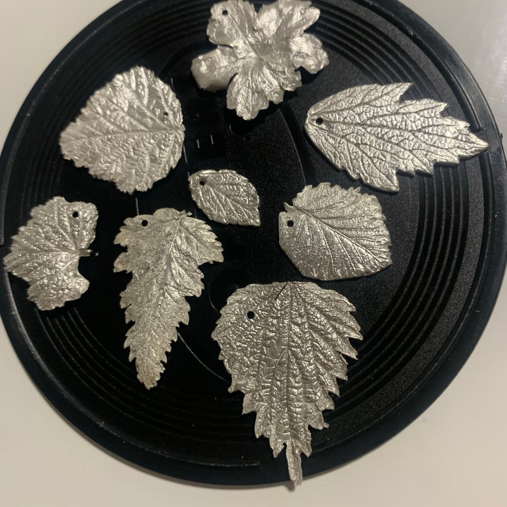 Image of Capturing Nature's Finest - Silver Clay Workshop