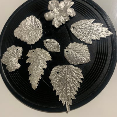 Image of Capturing Nature's Finest - Silver Clay Workshop