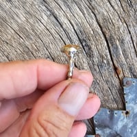 Image 6 of Brass Tourm, US 5