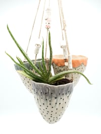 Image 1 of Hanging Planters 