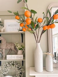 Image 1 of SALE! The Clementine Stems ( 3 Included )