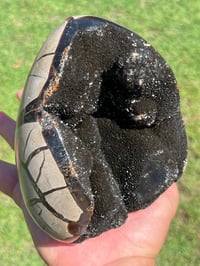 Image 5 of Septarian Nodule Polished Freeform | Madagascar #2897