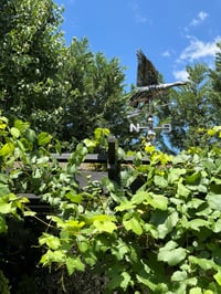 Image 2 of Duck Weather Vane