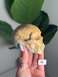 Image 14 of CHOOSE YOUR OWN SEA JASPER SKULL -MADAGASCAR-