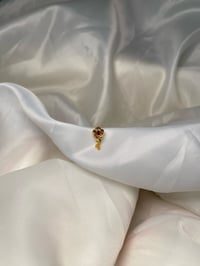 Image 1 of RED EYE FLOWER 