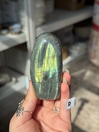 Image 4 of CHOOSE YOUR OWN SMALL LABRADORITE FREEFORM -MADAGASCAR-