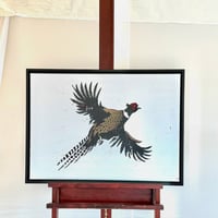 Image 2 of PHEASANT 1/1