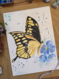 Image 4 of "Swallowtail" Original