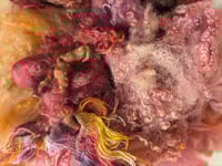 Image 1 of Orange Fan Mushroom Inspired Colorway Fiber Kit For Blending, Carding, Felting, Fiber Arts