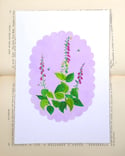 Foxgloves A5 Print