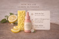 Lemon Sunshine – Melt & Diffuser Set 🍋