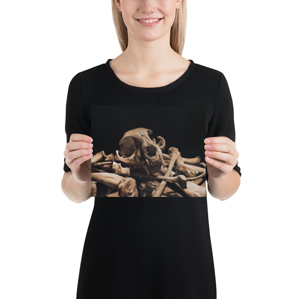 Photo Print: Cat Skull on Bone Pile