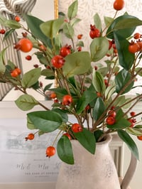Image 3 of The Rosehips Bouquet ( 6 sprays )