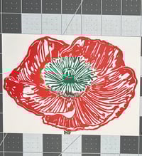 Poppy (red)