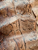Image 5 of Authentic Whole Python Snake Skin 