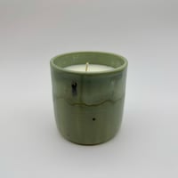 Image 1 of Fancy Fern 