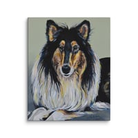 Image 1 of Rough Collie