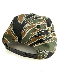 Image 5 of DIREWOLF TIGER