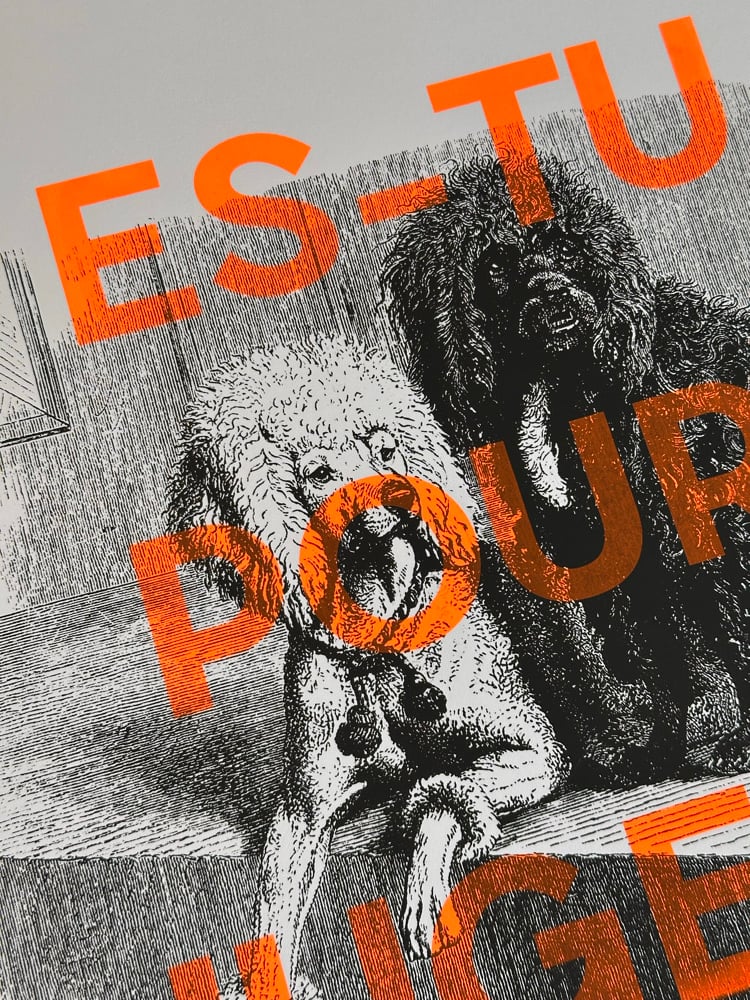 Affiche « QUI ES-TU ? » Image 2