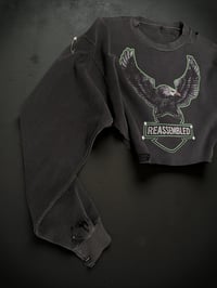 Image 2 of R eagle thrashed cropped thermal 