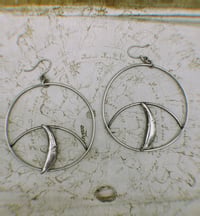 Coyote Hoops