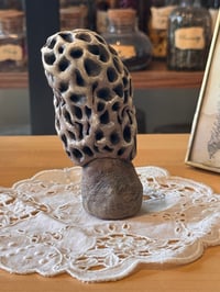 Image 4 of Mysterious Mushrooms