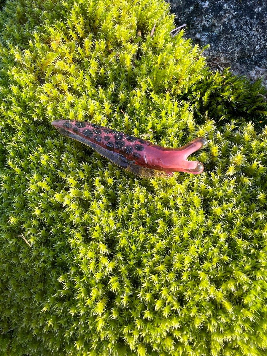 Image of Lil Pink Boro Slug