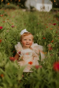 Image 5 of 2026 Zinnia Field Minis