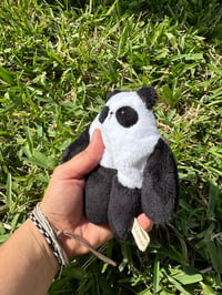 Image 3 of Mini Panda bloog