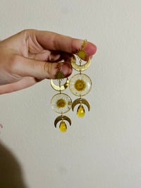 Image 2 of 🌼Daisy Shaniquas🌼