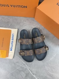 Image 2 of LV brown slides