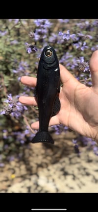 Image 3 of Roma Trout - OBSIDIAN