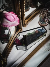 Image 8 of LetterstoLaLuna Haunted Forest Carrion Crow Head in glass coffin 