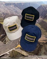 Image 1 of Tenderness Patch Dad Hat