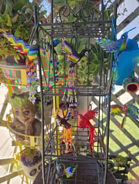Image 9 of HUMMINGBIRDS (huitzilin)