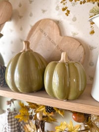 Image 1 of SALE! Moss Green Ceramic Pumpkins ( Set or Singles )