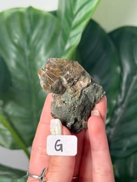 Image 8 of SMALL HALF POLISHED HIMALAYAN RUTILE IN QUARTZ CLUSTERS