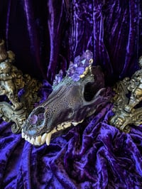 Image 1 of Amethyst, Quartz & Carborundum- Grey Wolf Skull