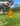 Iced Tea Carton