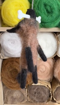 Image 3 of Tervuerense Herder (shepherd)
