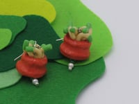 Image 5 of Sea Anemones 