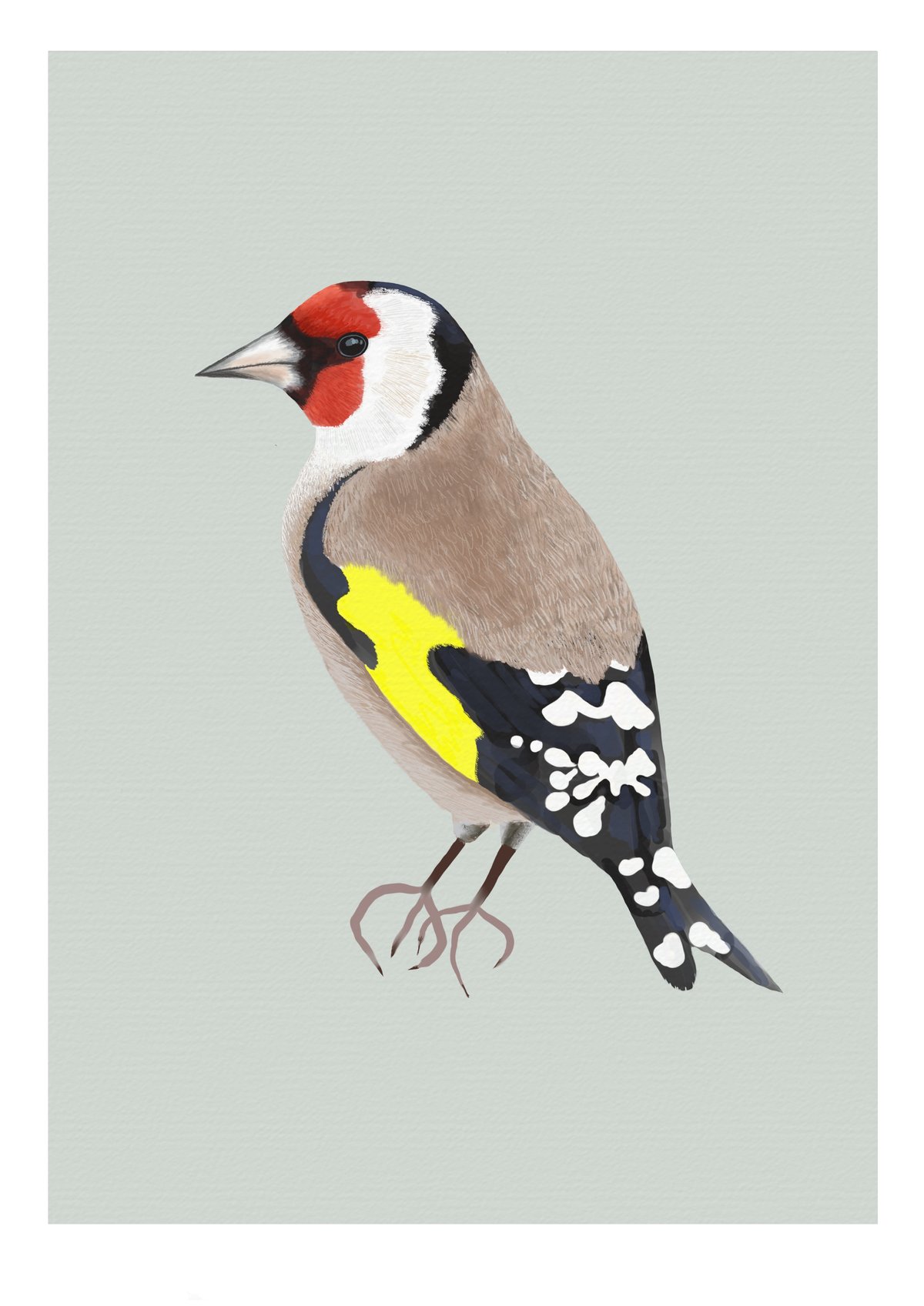 Goldfinch Print & Card