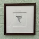 Image 1 of £50 originals - oyster mushroom , pointillism