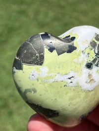 Image 2 of Serpentine With Pyrite Heart #2534