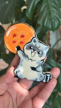 Image 4 of Raccoon Magnets