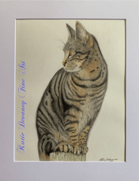 Image 3 of "The Watcher", Large Tabby Cat with Butterfly Framed Original 