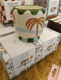 Image 4 of Vela Lush Palms