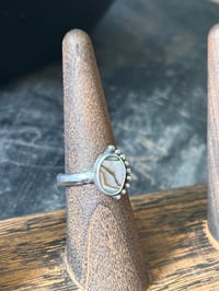 Image 3 of Satellite Ring (6)