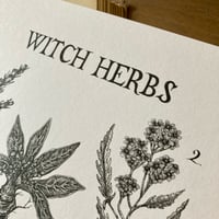 Image 2 of Witch Herbs A4 Print